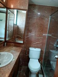 Holland Road (D10), Condominium #559743341